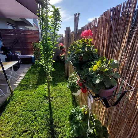 Rezidenta Kico Apartament *